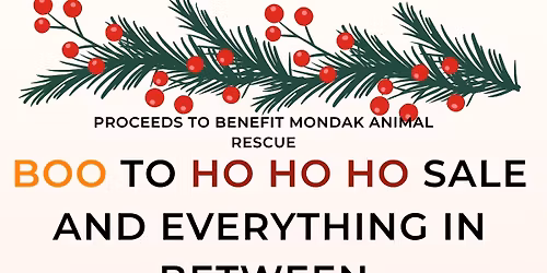 Boo To HO HO HO Sale and Everything In Between 