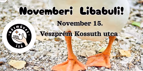 Novemberi Libabuli