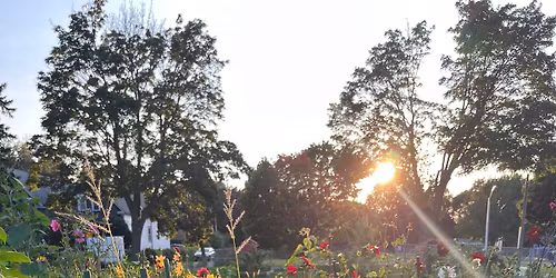 Flower Farm Clean Up 