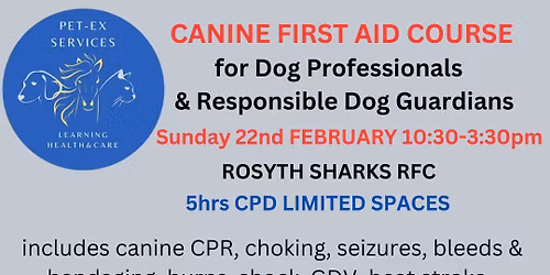 ROSYTH 22.2.26 Canine First Aid Course