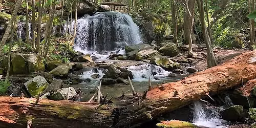 Summer Waterfall Hikes: Apple Orchard Falls