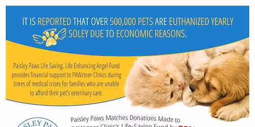 Bingo for Paisley Paws
