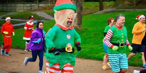 Christmas Fancy Dress