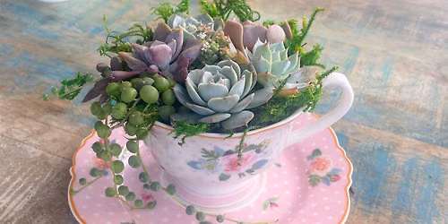 Sips & Succulents: Vintage Tea Cup garden