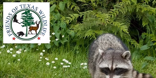 Friends of Texas Wildlife (for Teens)