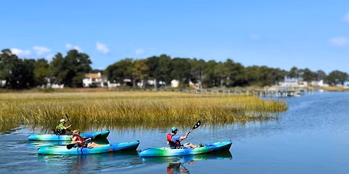 July Salt Marsh Paddle