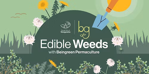 Edible weeds walk & talk