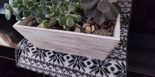Plant n' Sip at Social Eats