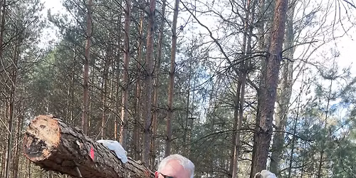 D\u0159\u00edv\u00ed, pot, dech a klidn\u00e1 hlava