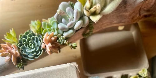 Plant Bingo