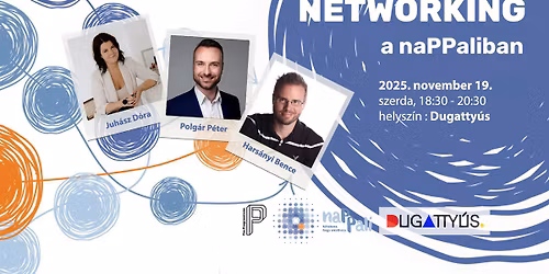 naPPali Vol.2: Networking a naPPaliban