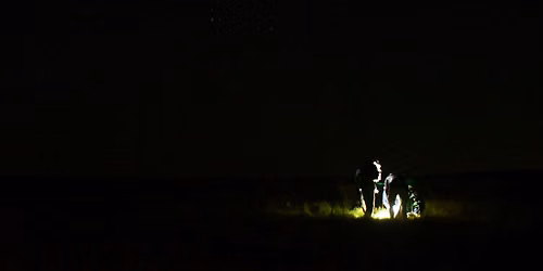 Monsters, Mystery and Darkness: 4-Week Creative Writing Course