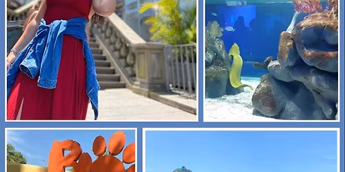 City tour Atrativos Rio \ud83d\uddff\ud83e\udd81\ud83e\udd88\ud83d\udea1- 30\/12