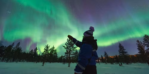 Borealis - A Holiday Spectacular!