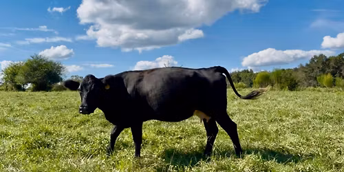 Pesticide School - Need a applicators license? 