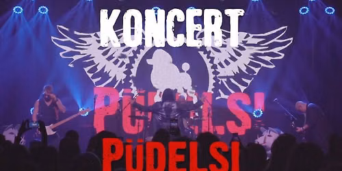 Pudelsi - The Best
