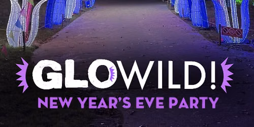Carousel: NYE Party