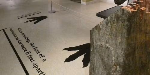 Neurodivergent Nights