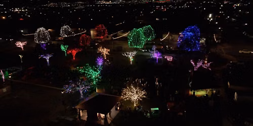 Christmas in the Grove - 