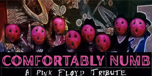 Comfortably Numb Pink Floyd Trtibute @ Mainline Brewery