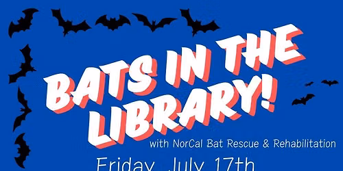 Bats in the Library with NorCal Bats!