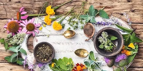 Naturally Healthy with Plants: Summer Edition