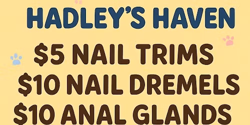 Pup Pedi Pawty\ud83d\udc85\ud83d\udc3e