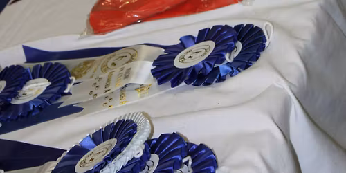 Conformation Shows and Rally Trials