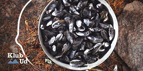 Østers og muslingetur i Lumskebugten