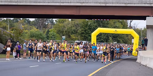 The Chase 5K