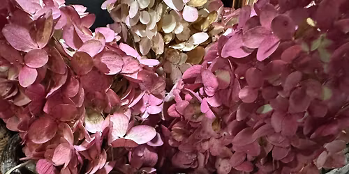 20th Annual Currier & Ives Cookie Tour