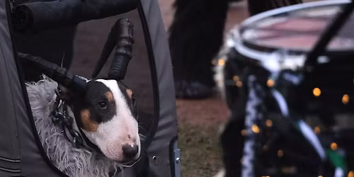Rudy's Memorial Walk (Hardwick Hall)