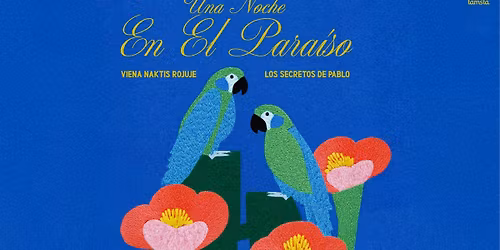 LOS SECRETOS DE PABLO \u2018Una noche en el para\u00edso\u2019 | VIENA NAKTIS ROJUJE | TAMSTA