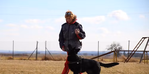 6. ro\u010dn\u00edk Memori\u00e1l Ilony Mor\u00e1vkov\u00e9