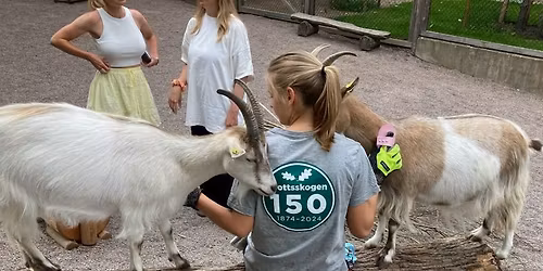 Barnens zoo \u00f6ppnar 23 april!