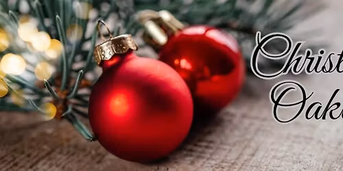 1st Annual Community Light Display