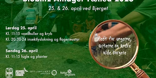 Amager F\u00e6lled bioblitz - City Nature Challenge Copenhagen