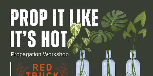 Prop It Like It\u2019s Hot | Plant Propagation Workshop | Registration Required