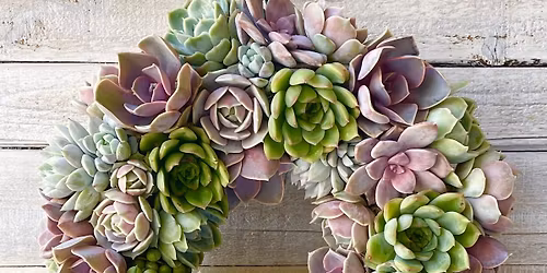 Succulent Wreath Class at The Mad Potter Studio 