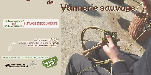 Stages d\u00e9couverte de la vannerie sauvage
