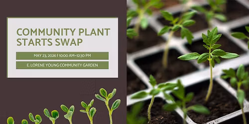 Community Plant Starts Swap