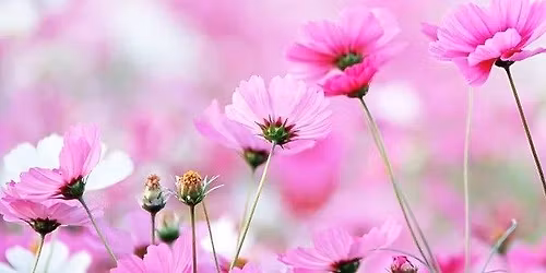 CRY Family Bereavement Support Day