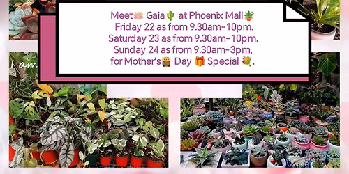 Gaia at Phoenix Mall for Mother's Day 