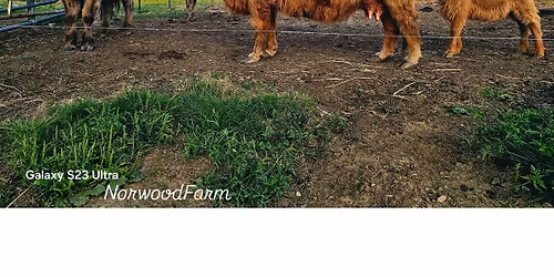 FARM STAND GRAND OPENING! 