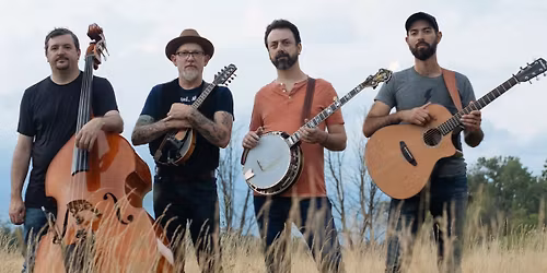 Wilson Thicket Jackson MI