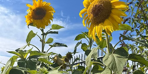 Seed Saving Workshop