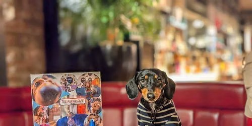 York - Dachshund Pup Up Cafe \u2600\ufe0f