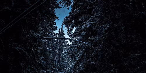 Use Tarot to Explore Your Inner Landscape on the New Snow Moon