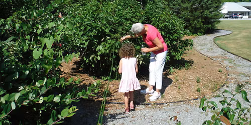 Great Pollinator Census