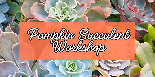 Pumpkin Succulent Workshop